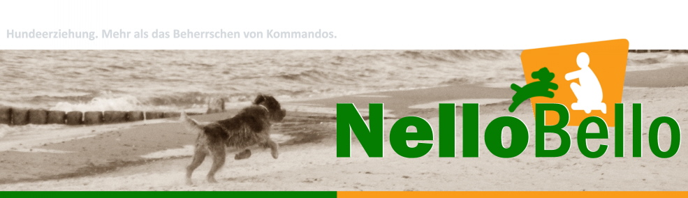 Preisbersicht der Hundeschule NelloBello